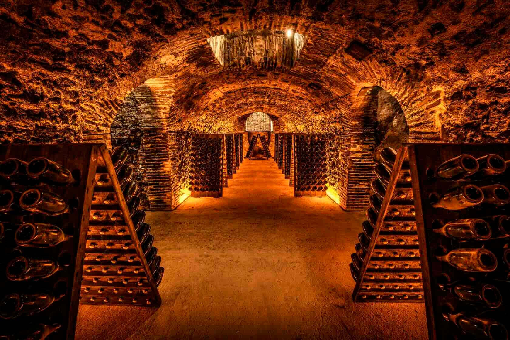 The Art Wine Guide wine cellar