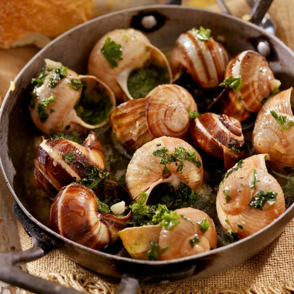 Burgundy snails