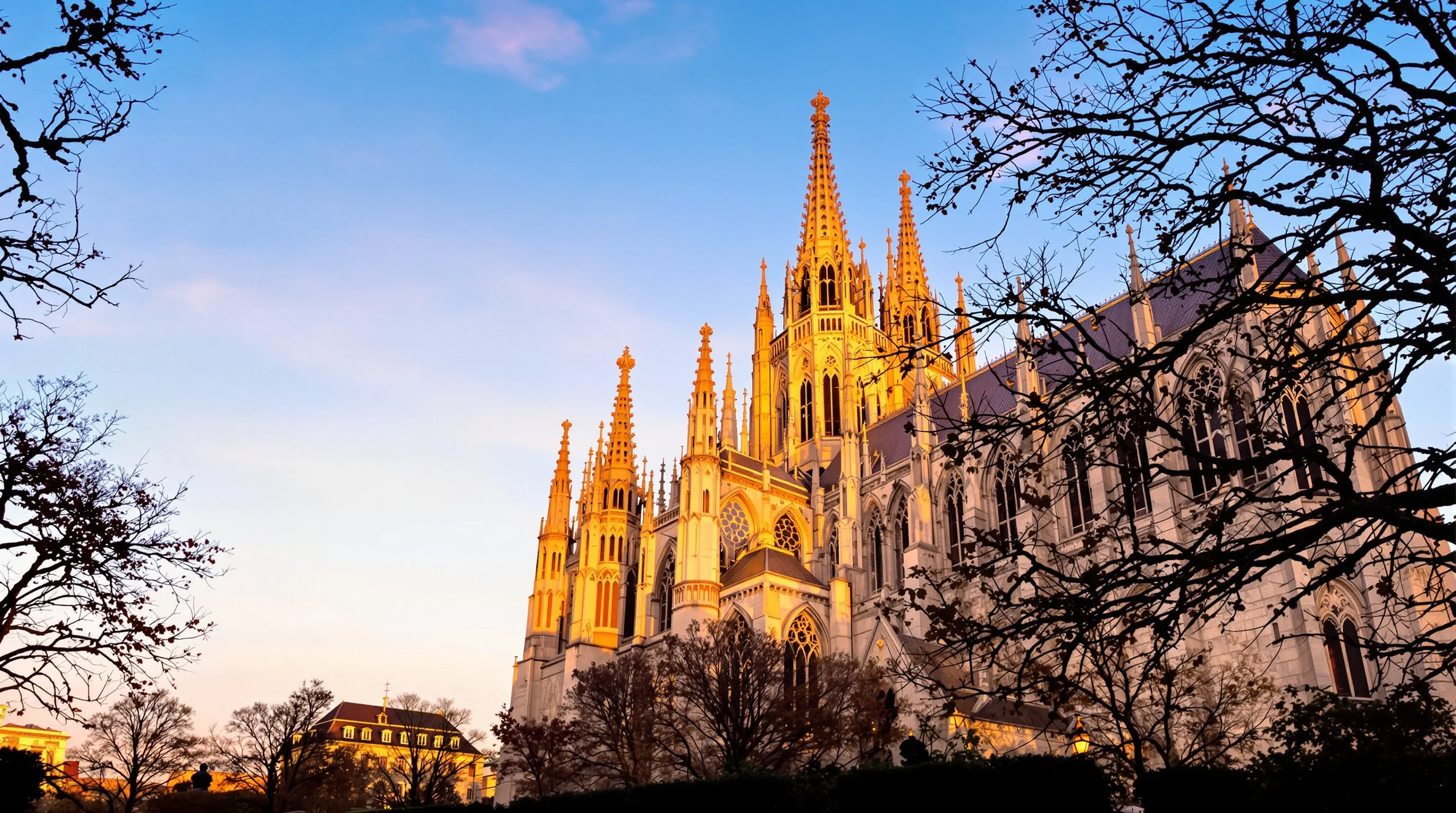 Reims: your first encounter with Champagne and its vineyards