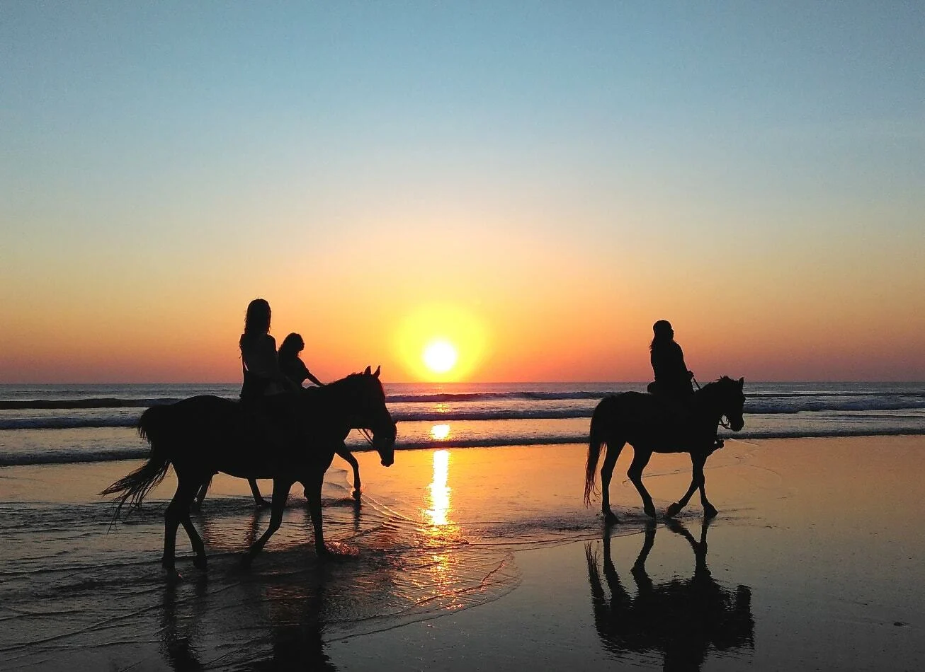 Horse riding in Normandy