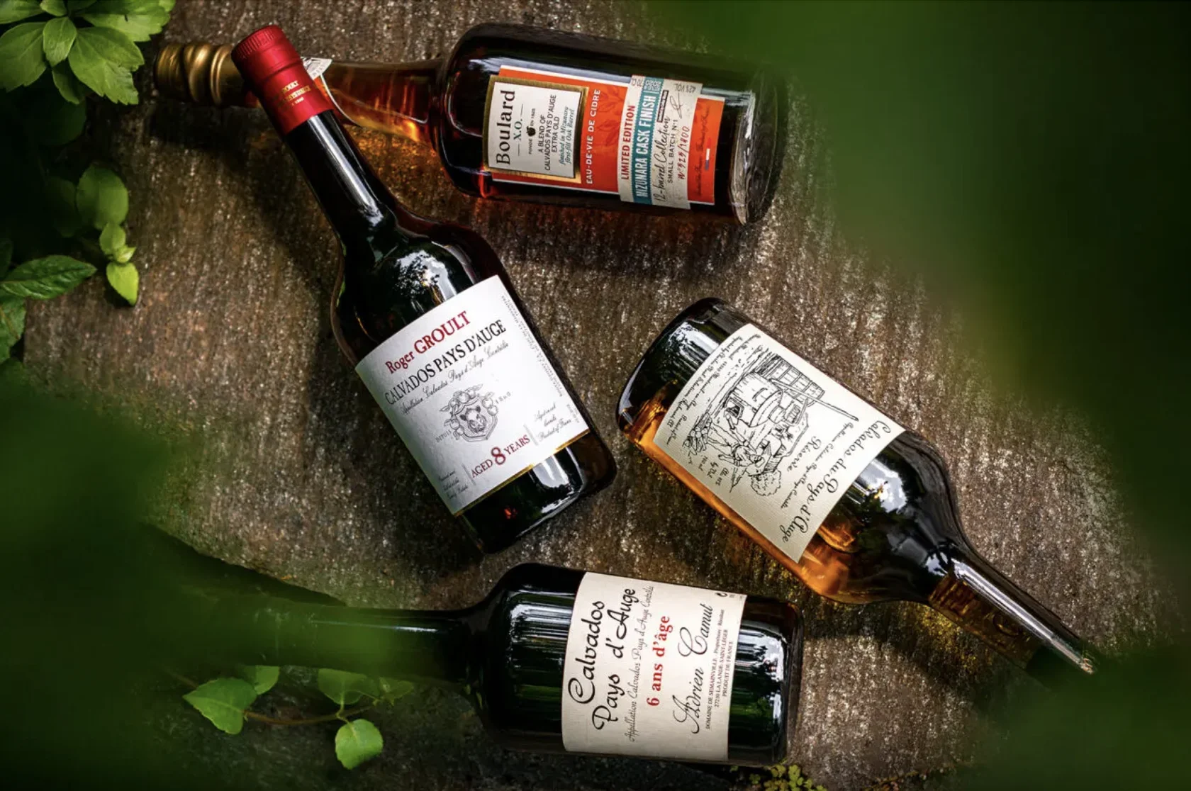 Calvados